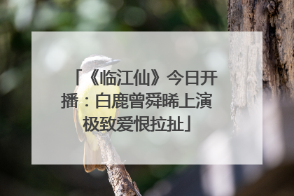 《临江仙》今日开播：白鹿曾舜晞上演极致爱恨拉扯