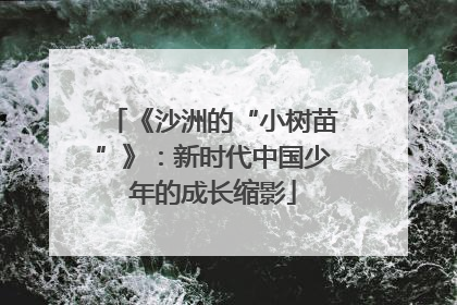 《沙洲的“小树苗”》：新时代中国少年的成长缩影
