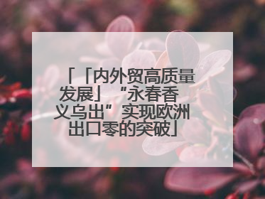 「内外贸高质量发展」“永春香 义乌出”实现欧洲出口零的突破
