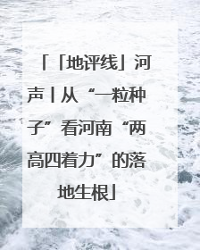 「地评线」河声丨从“一粒种子”看河南“两高四着力”的落地生根