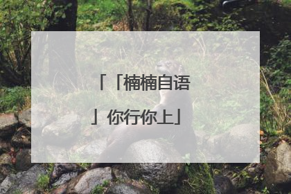 「楠楠自语」你行你上