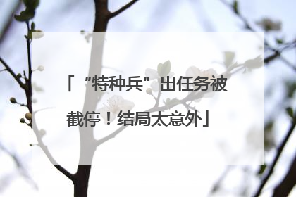 “特种兵”出任务被截停！结局太意外