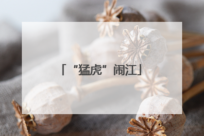 “猛虎”闹江