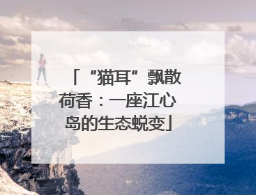 “猫耳”飘散荷香：一座江心岛的生态蜕变