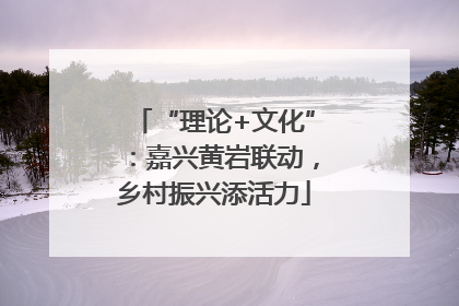 “理论+文化”：嘉兴黄岩联动，乡村振兴添活力