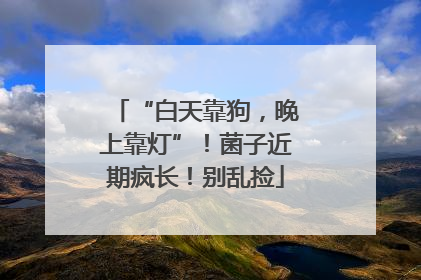 “白天靠狗，晚上靠灯”！菌子近期疯长！别乱捡