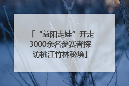 “益阳走娃”开走 3000余名参赛者探访桃江竹林秘境