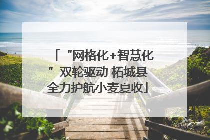 “网格化+智慧化”双轮驱动 柘城县全力护航小麦夏收