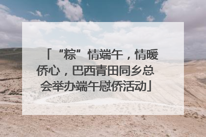 “粽”情端午，情暖侨心，巴西青田同乡总会举办端午慰侨活动