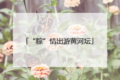 “粽”情出游黄河坛