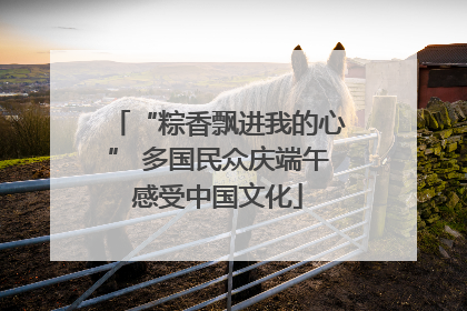 “粽香飘进我的心” 多国民众庆端午感受中国文化