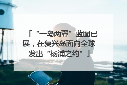 “一岛两翼”蓝图已展，在复兴岛面向全球发出“杨浦之约”