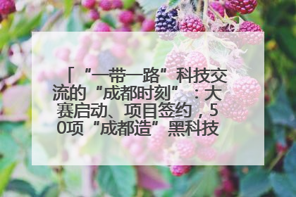 “一带一路”科技交流的“成都时刻”：大赛启动、项目签约，50项“成都造”黑科技吸引多国客商