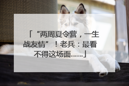 “两周夏令营，一生战友情”！老兵：最看不得这场面……