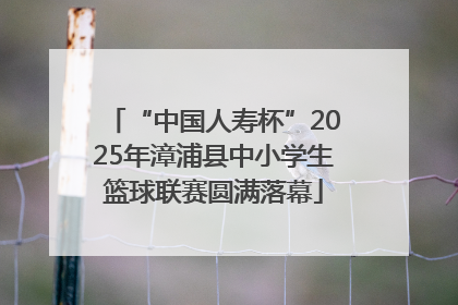 “中国人寿杯”2025年漳浦县中小学生篮球联赛圆满落幕