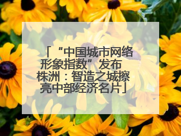 “中国城市网络形象指数”发布 株洲：智造之城擦亮中部经济名片