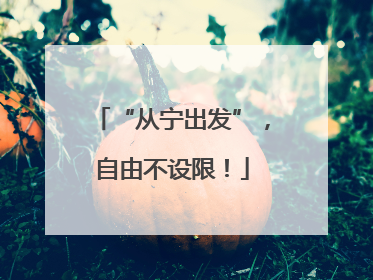 “从宁出发”，自由不设限！