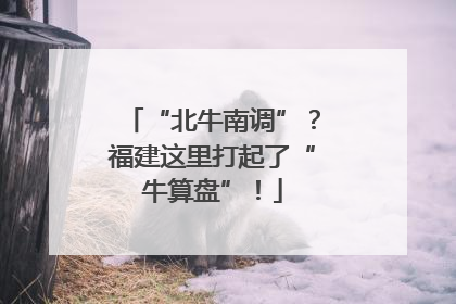 “北牛南调”?福建这里打起了“牛算盘”!