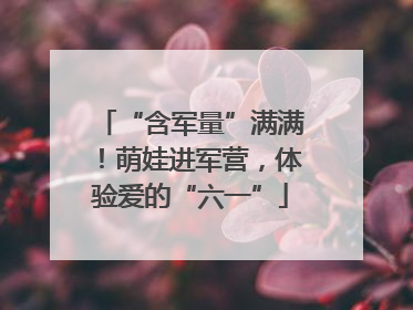 “含军量”满满！萌娃进军营，体验爱的“六一”