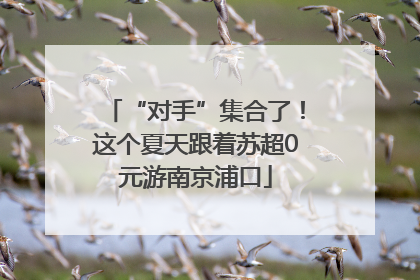 “对手”集合了！这个夏天跟着苏超0元游南京浦口
