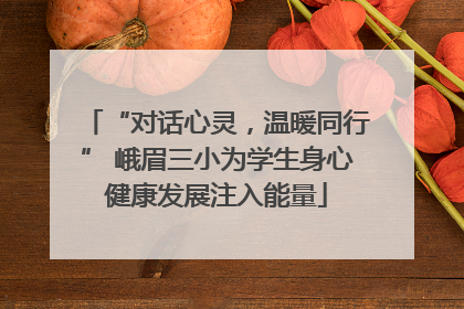 “对话心灵，温暖同行” 峨眉三小为学生身心健康发展注入能量
