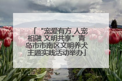 “宠爱有方 人宠相融 文明共享”青岛市市南区文明养犬主题实践活动举办