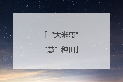“大米哥”“慧”种田