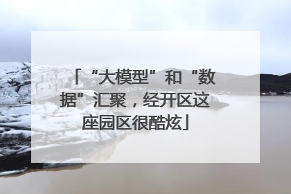 “大模型”和“数据”汇聚，经开区这座园区很酷炫