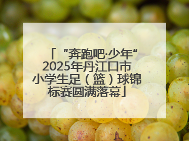 “奔跑吧·少年”2025年丹江口市小学生足（篮）球锦标赛圆满落幕