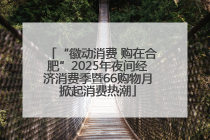“徽动消费 购在合肥”2025年夜间经济消费季暨66购物月掀起消费热潮