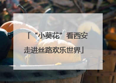 “小葵花”看西安走进丝路欢乐世界