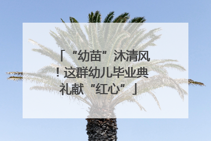 “幼苗”沐清风！这群幼儿毕业典礼献“红心”