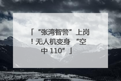 “张湾智警”上岗！无人机变身 “空中 110”