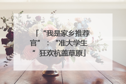 “我是家乡推荐官”：“准大学生”狂欢杭盖草原