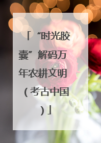 “时光胶囊”解码万年农耕文明（考古中国）