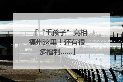“毛孩子”亮相福州这里！还有很多福利……