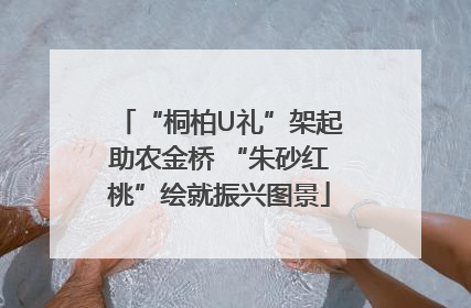 “桐柏U礼”架起助农金桥 “朱砂红桃”绘就振兴图景