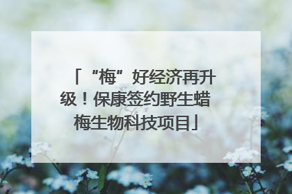 “梅”好经济再升级！保康签约野生蜡梅生物科技项目