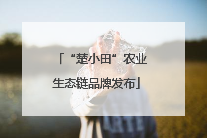 “楚小田”农业生态链品牌发布