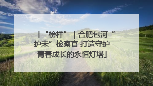 “榜样”｜合肥包河“护未”检察官 打造守护青春成长的永恒灯塔
