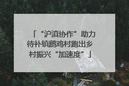 “沪滇协作”助力待补镇鹧鸡村跑出乡村振兴“加速度”