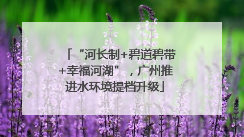 “河长制+碧道碧带+幸福河湖”，广州推进水环境提档升级