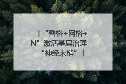 “警格+网格+N”激活基层治理“神经末梢”