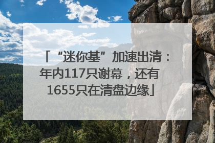 “迷你基”加速出清：年内117只谢幕，还有1655只在清盘边缘