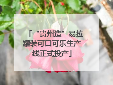 “贵州造”易拉罐装可口可乐生产线正式投产