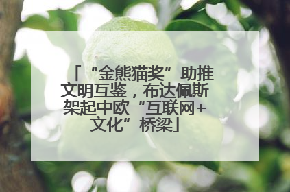 “金熊猫奖”助推文明互鉴，布达佩斯架起中欧“互联网+文化”桥梁