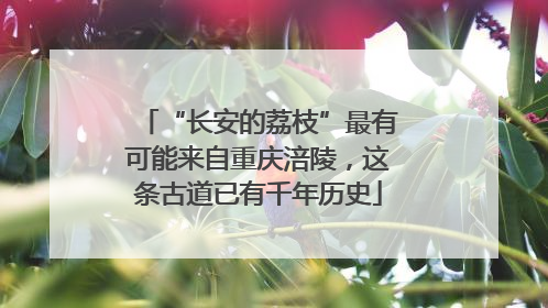 “长安的荔枝”最有可能来自重庆涪陵，这条古道已有千年历史