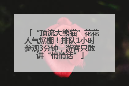 “顶流大熊猫”花花人气爆棚！排队1小时参观3分钟，游客只敢讲“悄悄话”