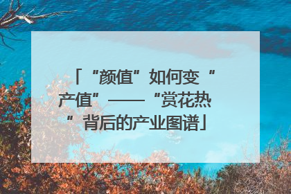 “颜值”如何变“产值”——“赏花热”背后的产业图谱