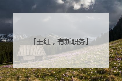 王红，有新职务